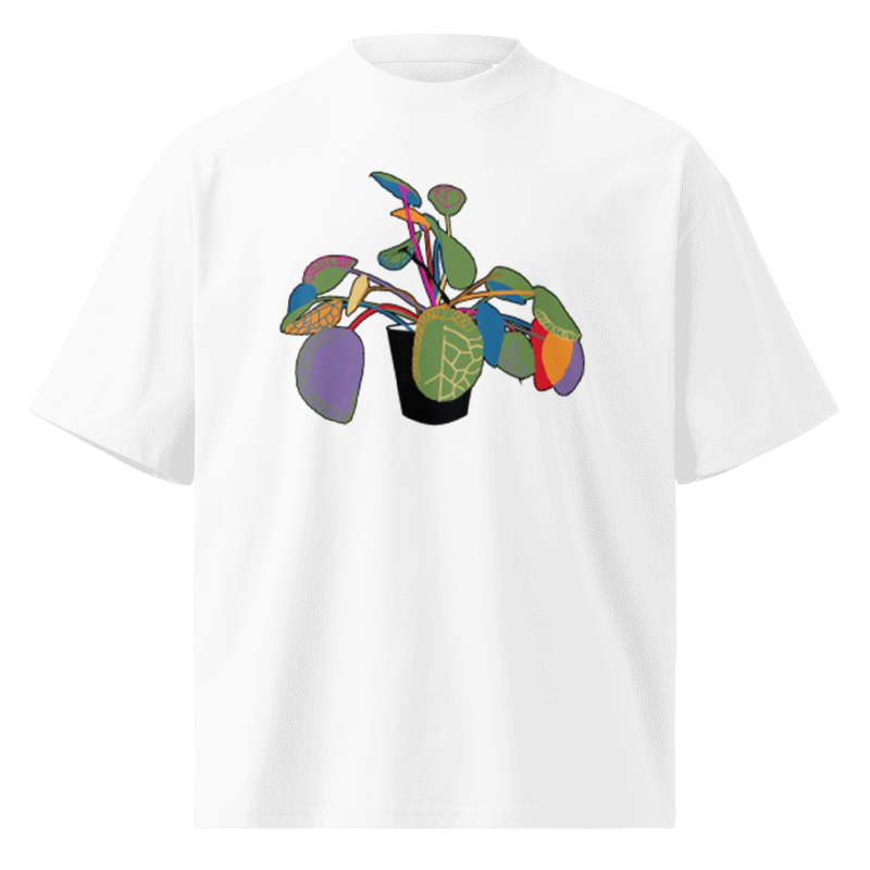 Money Plant Front